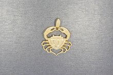 Krabben Anh&auml;nger 14 Karat - 3 cm