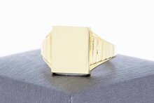 14 Karat Gold M&auml;nner Siegelring &ndash; 21,2 mm